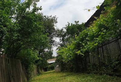 Casa de vanzare la tara - 1