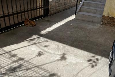 Casă cu 2 camere în Viile Noi - 1