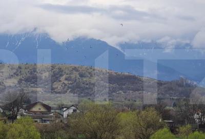 Apartament cu 2 Camere de Vanzare in Zarne?ti - 9