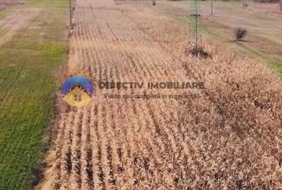 Teren intravilan de vanzare 5533 mp - Alexandru cel Bun Teren intravilan de vanzare 5533 mp - Alexandru cel Bun - 1