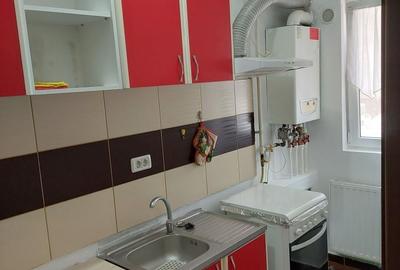Apartament cu 2 camere decomandat în Roșu - 8