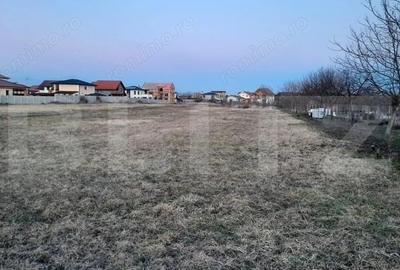 Teren de 515 mp, în Torontalului