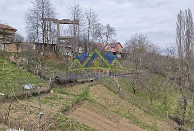 Casă cu 3 camere cu Teren 3996 Mp în Ghelari - 10