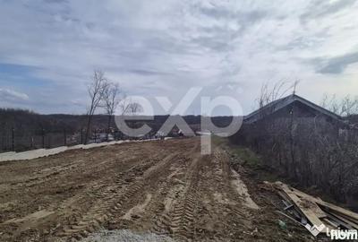 Teren în Albota - 4