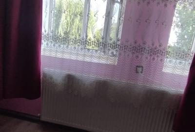 Duplex cu 5 camere cu Canalizare în Macea - 10