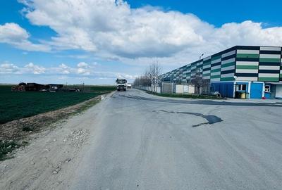 Teren agricol extravilan de 17700 mp, în Biharia - 6