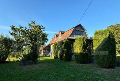 Casa in Aluni?, 10.000 mp de teren, cu vie si livada, veder - 3