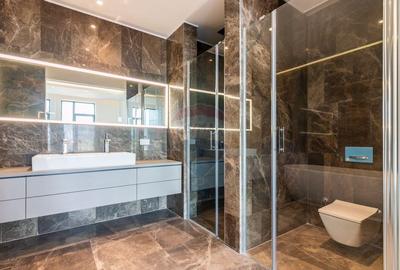 Penthouse spectaculos de vanzare Barbu Vacarescu - 16