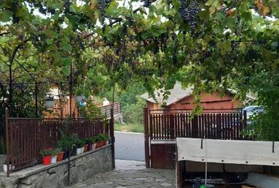 Casă cu Teren 2500 Mp în Central - 5