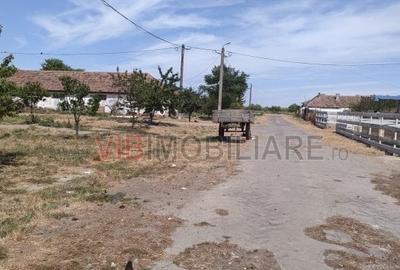 Ferma Zootehnică Mixtă – Cernateaz, Timiș | 9,5 ha | Hale Moderne, Casă 2019, Ut - 6