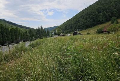 Teren de 5500 mp, în Hurez - 5