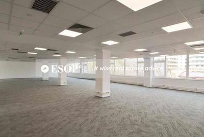 Central Business Park, Marasesti, 273 - 2160 mp 0% comision! - 5