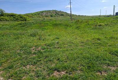 Teren de 700 mp, în Exterior Vest - 1