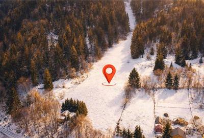 Teren de 7800 mp, în Lunca - 1