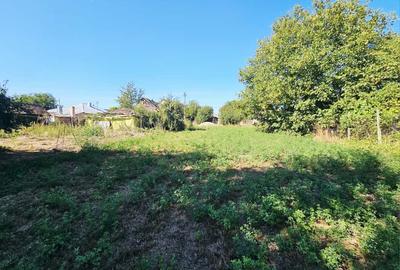 Teren intravilan 1.585 mp, cu utilități la hotar –Gherghița–Ungureni - 5