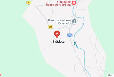Casă individuală cu 4 camere în Brădetu - 1