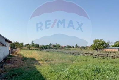 Spațiu comercial, în Bobda - 1