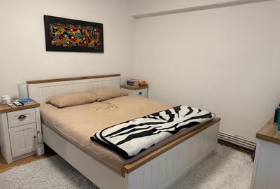 Apartament cu 3 camere decomandat, mobilat în Aradului - 4