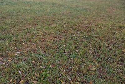 Teren intravilan de 2800 mp, în Bistrița Bârgăului - 2