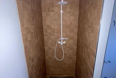 CASA PARTER+ETAJ ,VALU LUI TRAIAN, ZONA CENTRALA - 10