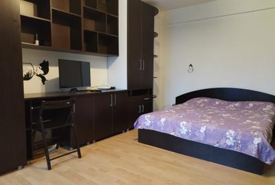 Garsoniera decomandata Craiovita - Aristizza Romanescu - 3