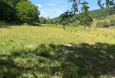 Teren de 4630 mp, în Rădmănești - 6