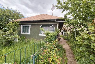 Casă cu 2 camere în Central - 4