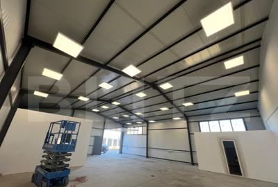 Hala 290,6 mp si 1263 mp teren, zona Carcea - 11