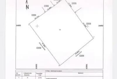 Ocazie! Teren intravilan ,ideal pentru casa ,imprejmuit(Ialomita) - 3