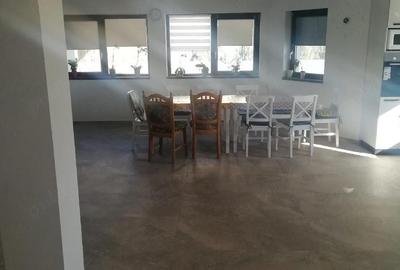 Casă cu 6 camere cu Teren 500 Mp în Băile Felix - 6