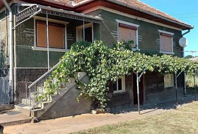 Casă cu Teren 2500 Mp în Mihăiești - 4