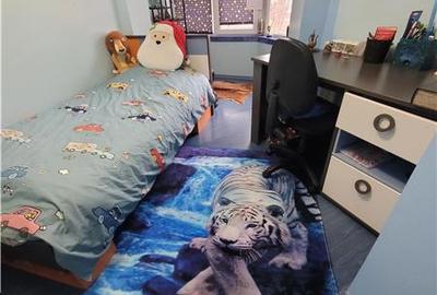 Apartament cu 4 camere decomandat, mobilat în Trocadero - 10