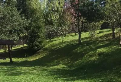 Vand casa in Pite?ti cu 625 mp teren - 8