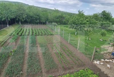 Casă cu 4 camere cu Teren 1800 Mp în Măgurele - 16