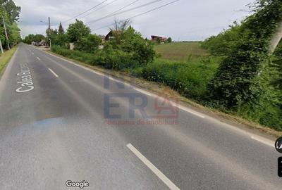 OPORTUNITATE -Teren de Vis la Marginea Padurii - 5000 mp in Ciorogarla - 4