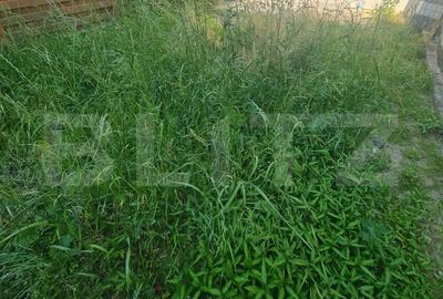 Triplex cu 3 camere, 84 mp utili, 40 mp de teren, zona Eroilor - 2