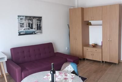 Apartament cu 2 camere nedecomandat, mobilat în Nicolina - 2