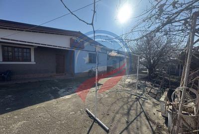 Proprietate deosebita in Filiasi - 1