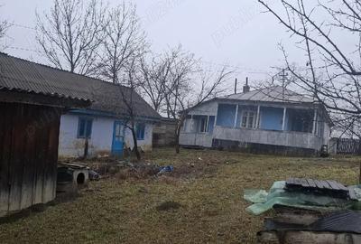 Casă în Central - 1