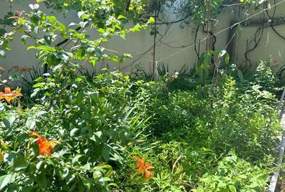 Vila D+P+E+Pod Piata Dorobanti Vila D+P+E+Pod Piata Dorobanti - 5