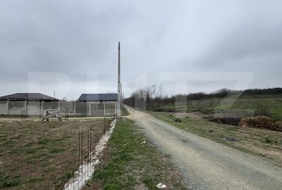 Teren Construcții intravilan de 800 mp, în Malu Mare - 2