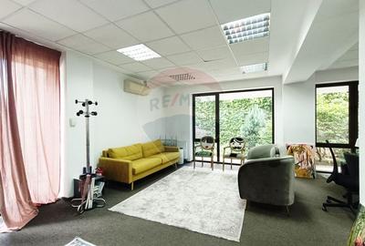 Vanzare Spatiu Comercial / Birou, Str. Popa Tatu -Cismigiu, Investitie - 2
