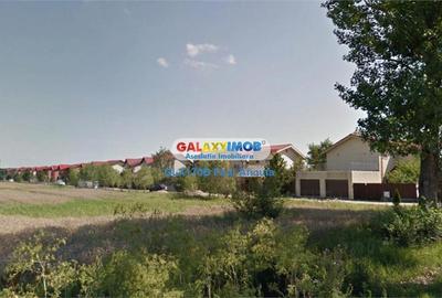 Teren intravilan de 25000 mp, în Balotești - 3