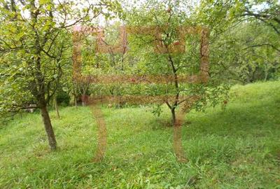 Sat Popesti vale construire imediata duplex 1.100mp zona spectaculoasa - 5