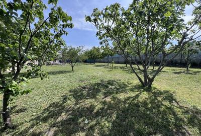 Teren 3500 mp Str Delfinului Foarte Aproape De Lacul Sutghiol - 37