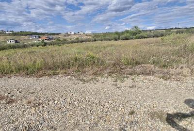 Teren Construcții intravilan de 680 mp, în Săldăbagiu de Munte - 6