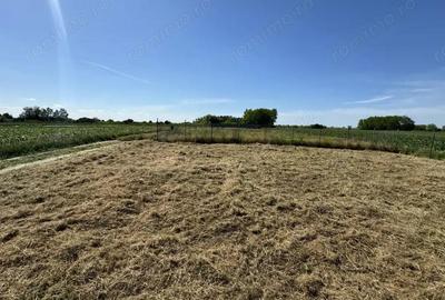 Teren de 400 mp, în Sânpaul - 3