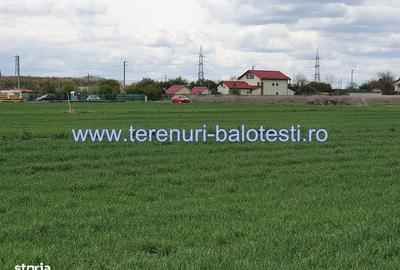 Teren de 800 mp, în Balotești - 1