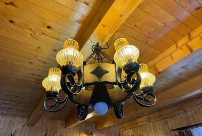 Vila de vanatoare in Santimbru-Bai - 20