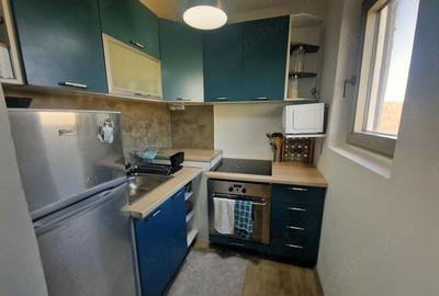 Apartament cu 2 camere nedecomandat, mobilat în Iosefin - 1